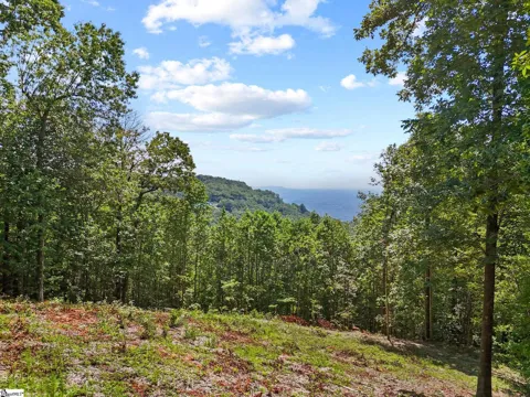 1394 Mountain Summit Road