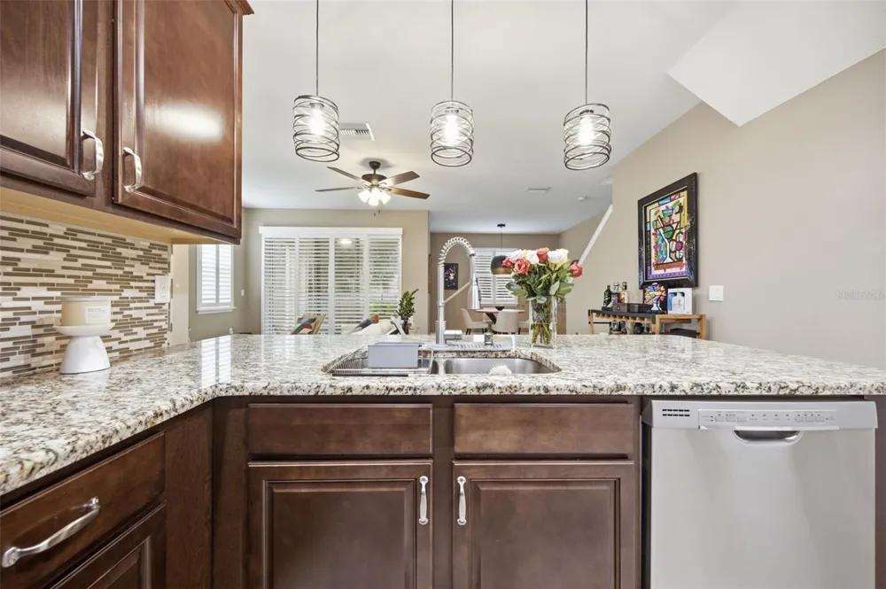 13219 CANOPY CREEK DRIVE Tampa, FL 33625
