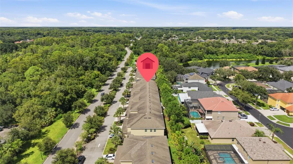 13219 CANOPY CREEK DRIVE Tampa, FL 33625