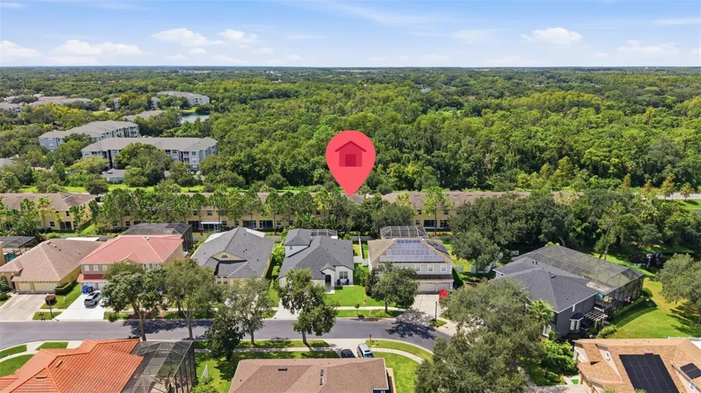 13219 CANOPY CREEK DRIVE Tampa, FL 33625