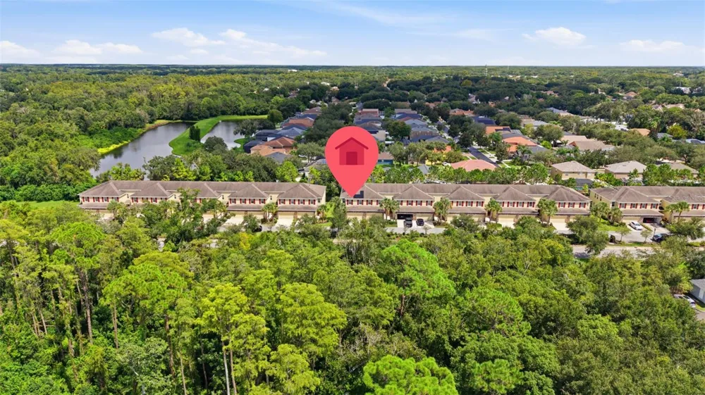13219 CANOPY CREEK DRIVE Tampa, FL 33625