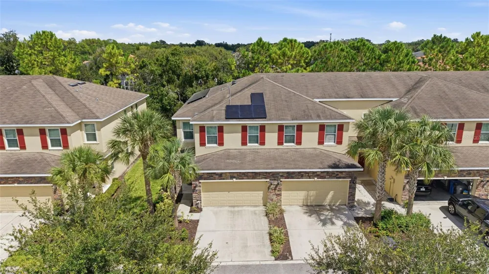 13219 CANOPY CREEK DRIVE Tampa, FL 33625