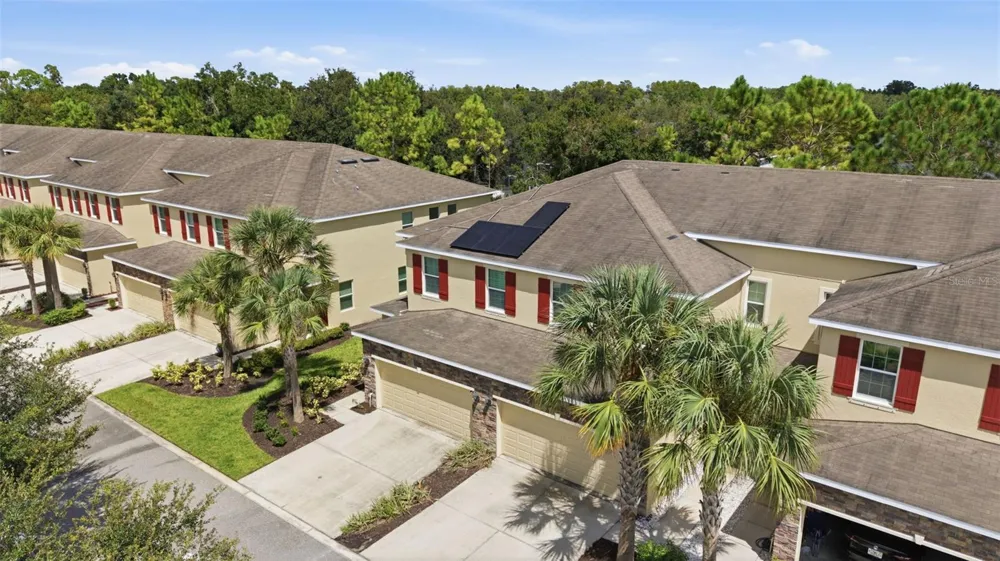 13219 CANOPY CREEK DRIVE Tampa, FL 33625
