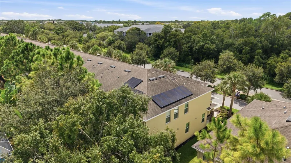 13219 CANOPY CREEK DRIVE Tampa, FL 33625