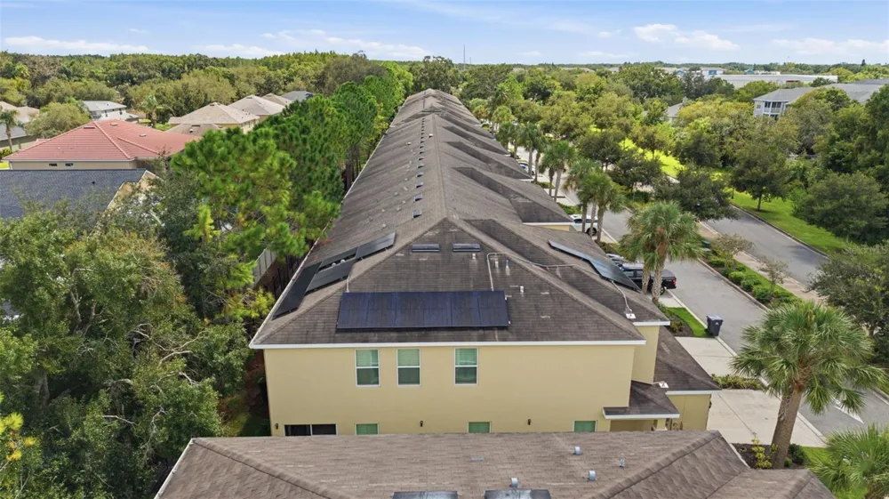 13219 CANOPY CREEK DRIVE Tampa, FL 33625