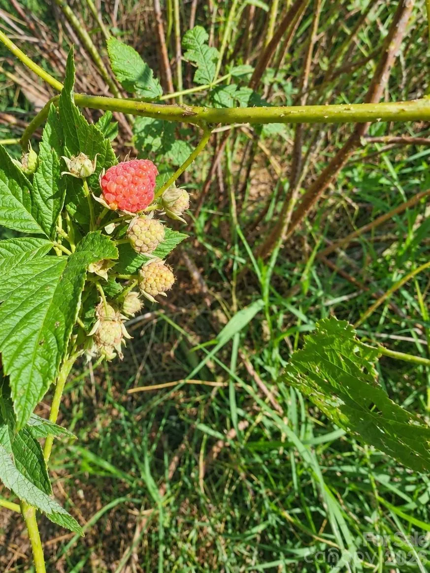 106 Clearview Drive Shelby, NC 28150