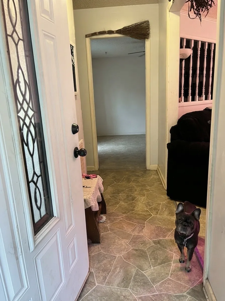 107 Jennifer Cv Munford, TN 38058