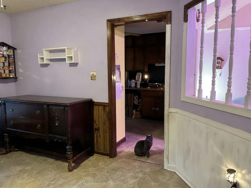 107 Jennifer Cv Munford, TN 38058