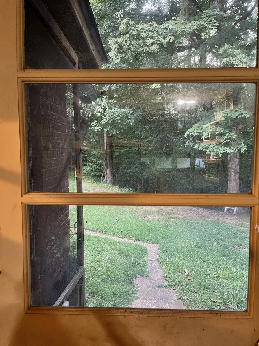 107 Jennifer Cv Munford, TN 38058