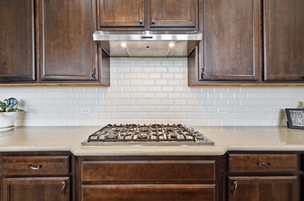 290 Honey Locust Court Driftwood, TX 78619