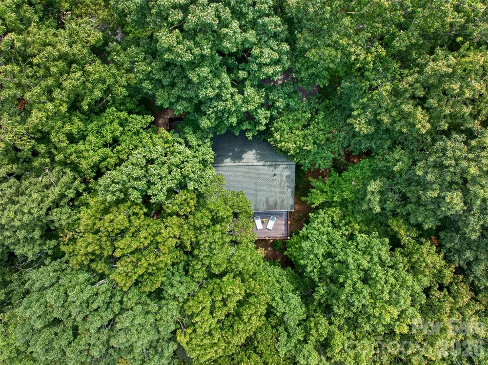 50 Cherokee Lane #3 Swannanoa, NC 28778