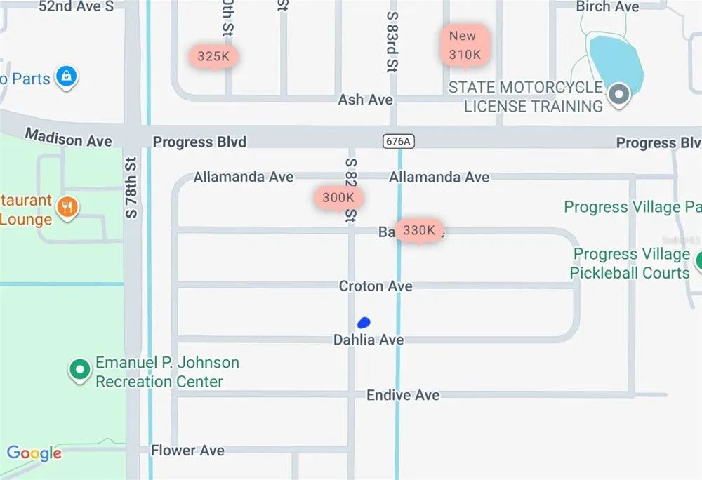 8202 DAHLIA AVENUE Tampa, FL 33619