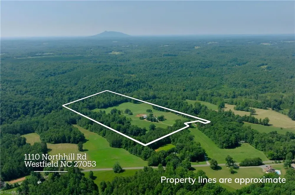 3505 NC Highway 66 S Westfield, NC 27053