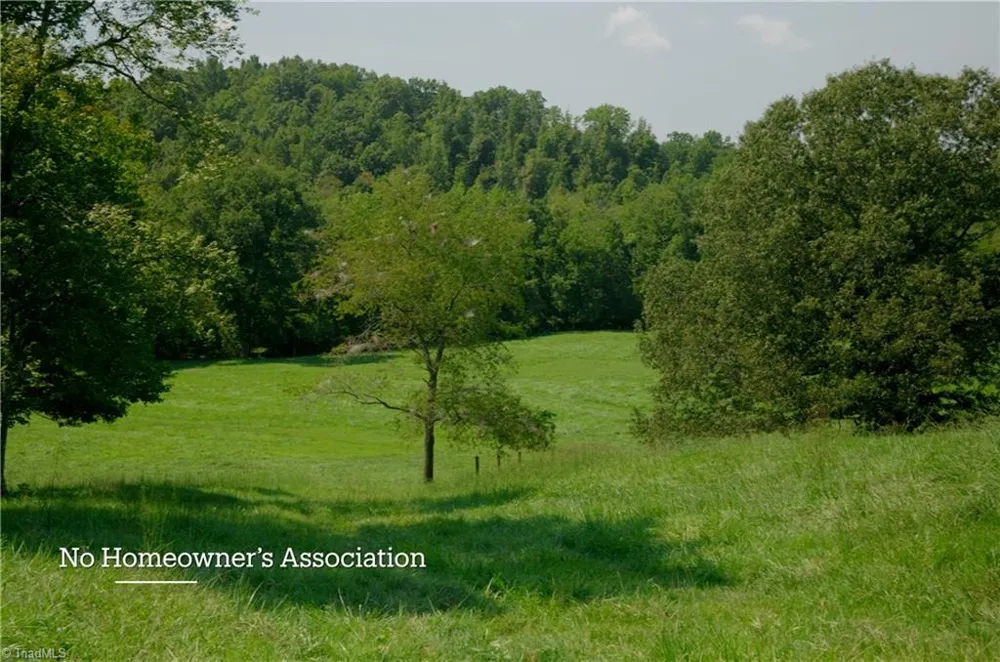3505 NC Highway 66 S Westfield, NC 27053