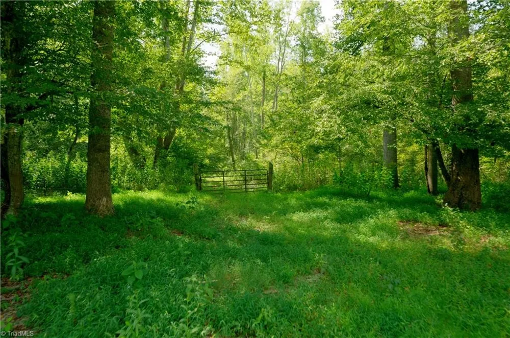 3505 NC Highway 66 S Westfield, NC 27053