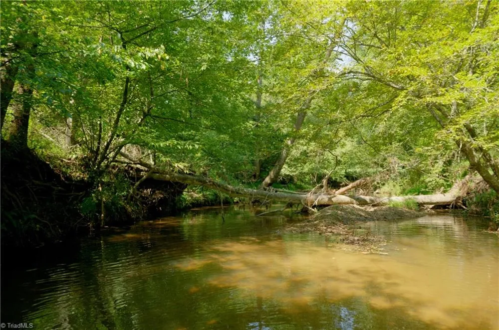 3505 NC Highway 66 S Westfield, NC 27053