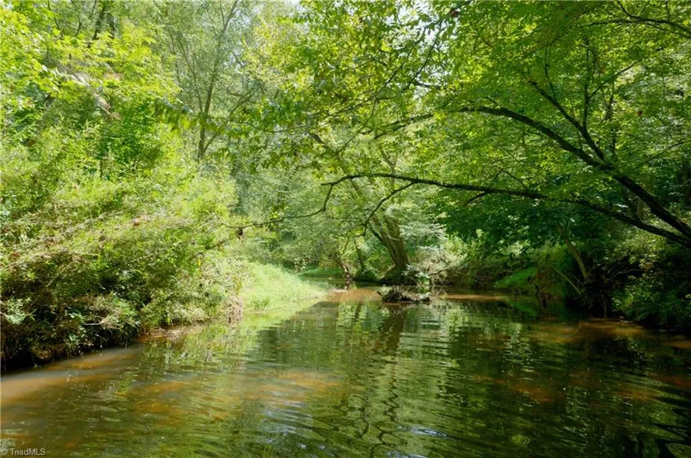 3505 NC Highway 66 S Westfield, NC 27053