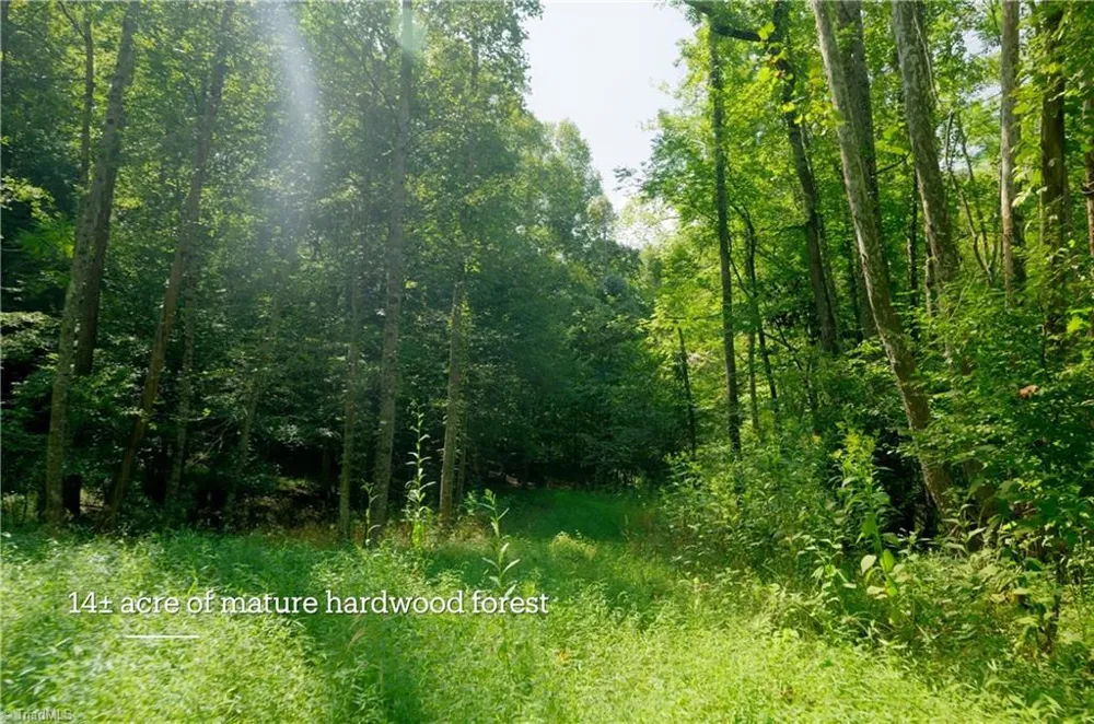 3505 NC Highway 66 S Westfield, NC 27053