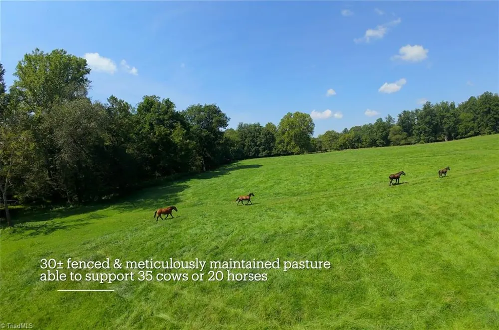 3505 NC Highway 66 S Westfield, NC 27053
