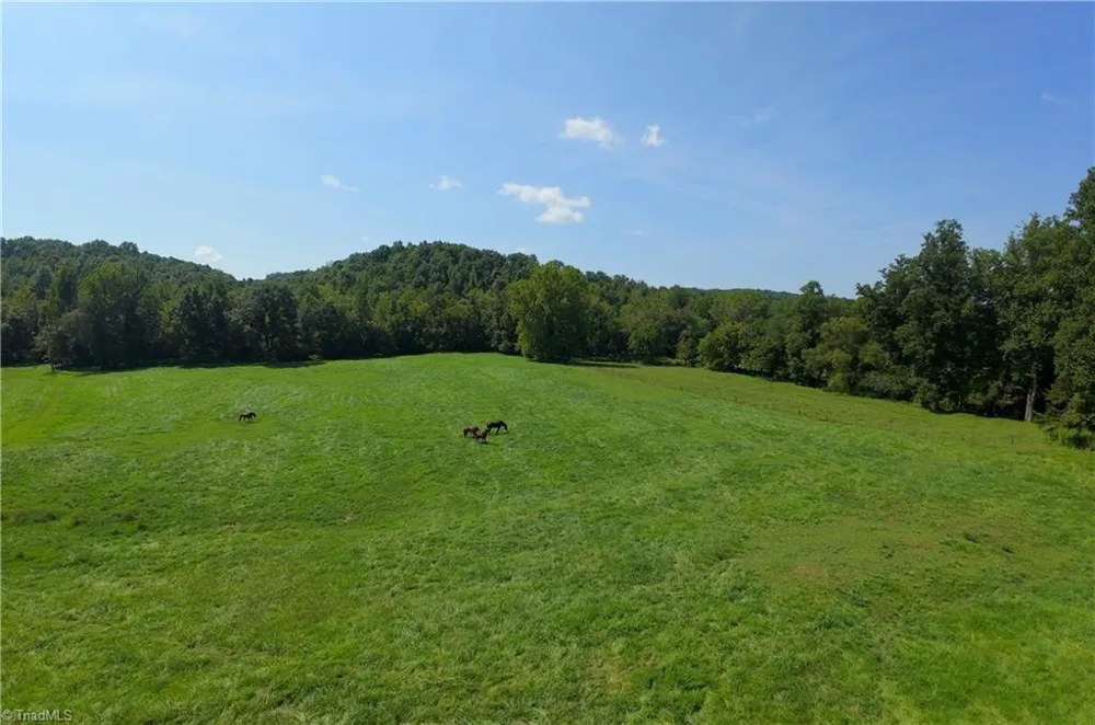 3505 NC Highway 66 S Westfield, NC 27053