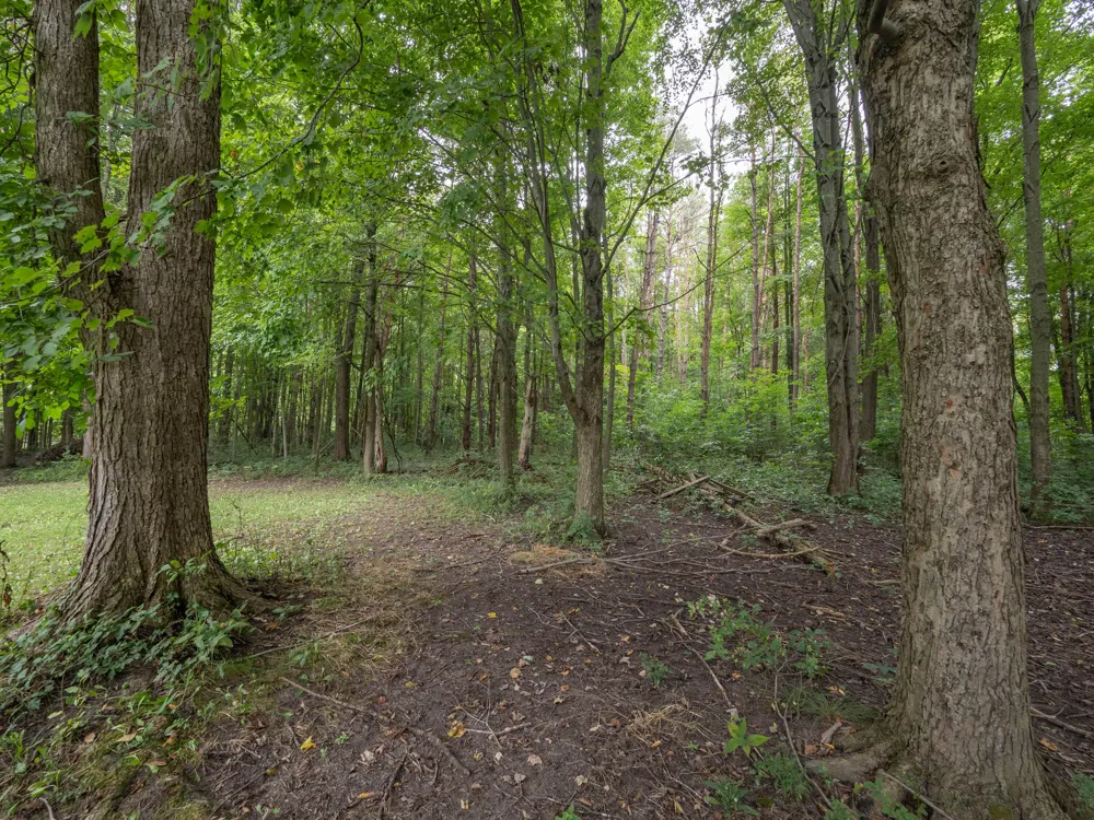 25356 2nd Avenue Pine Grove Township, MI 49010