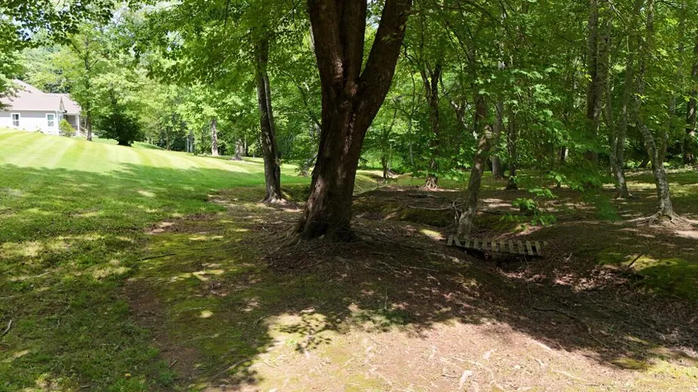 Swallowtail Ln Whittier, NC 28789