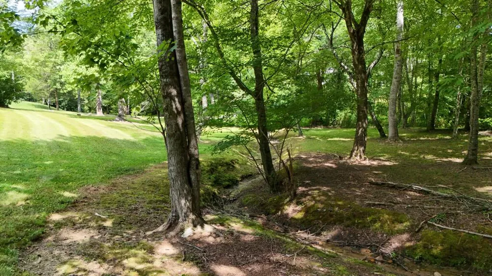 Swallowtail Ln Whittier, NC 28789