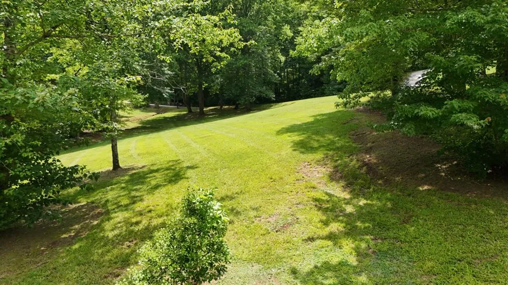 Swallowtail Ln Whittier, NC 28789