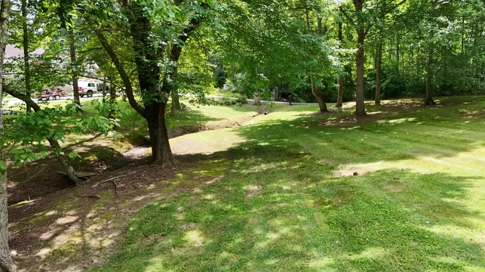 Swallowtail Ln Whittier, NC 28789