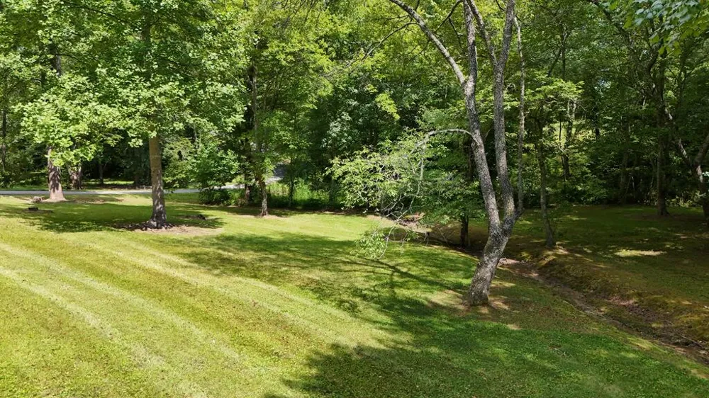 Swallowtail Ln Whittier, NC 28789