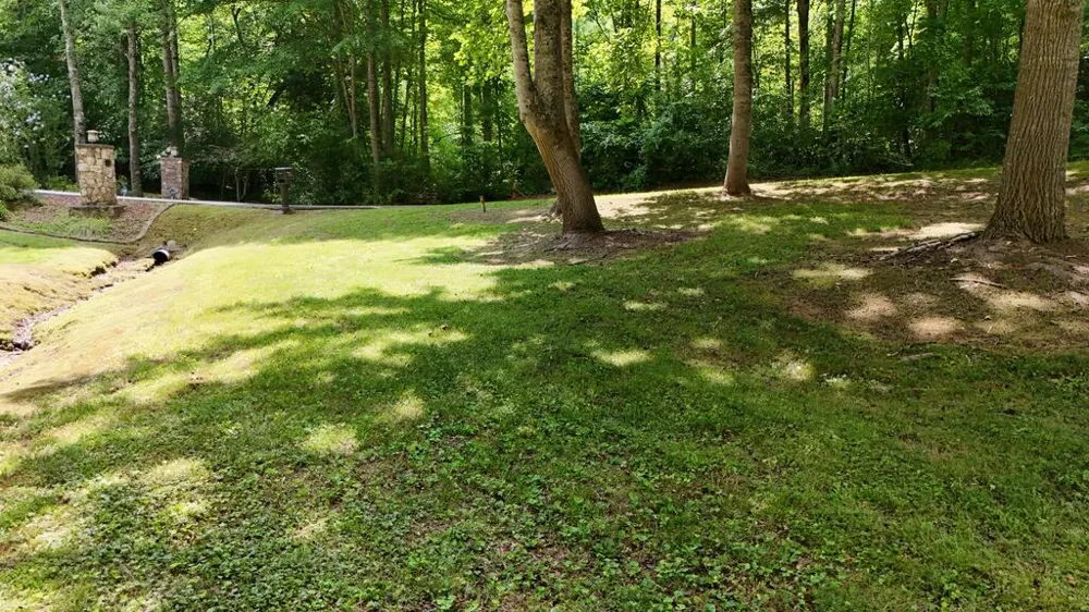 Swallowtail Ln Whittier, NC 28789