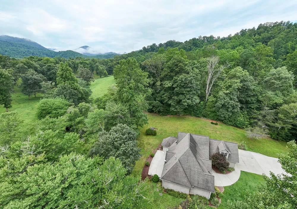 Swallowtail Ln Whittier, NC 28789