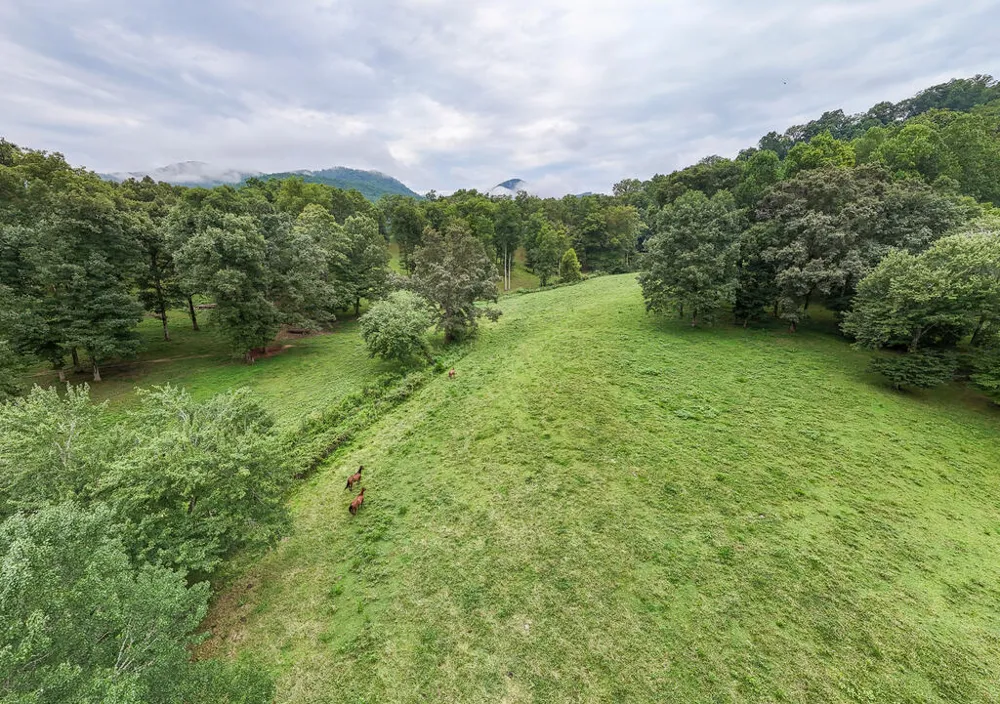 Swallowtail Ln Whittier, NC 28789