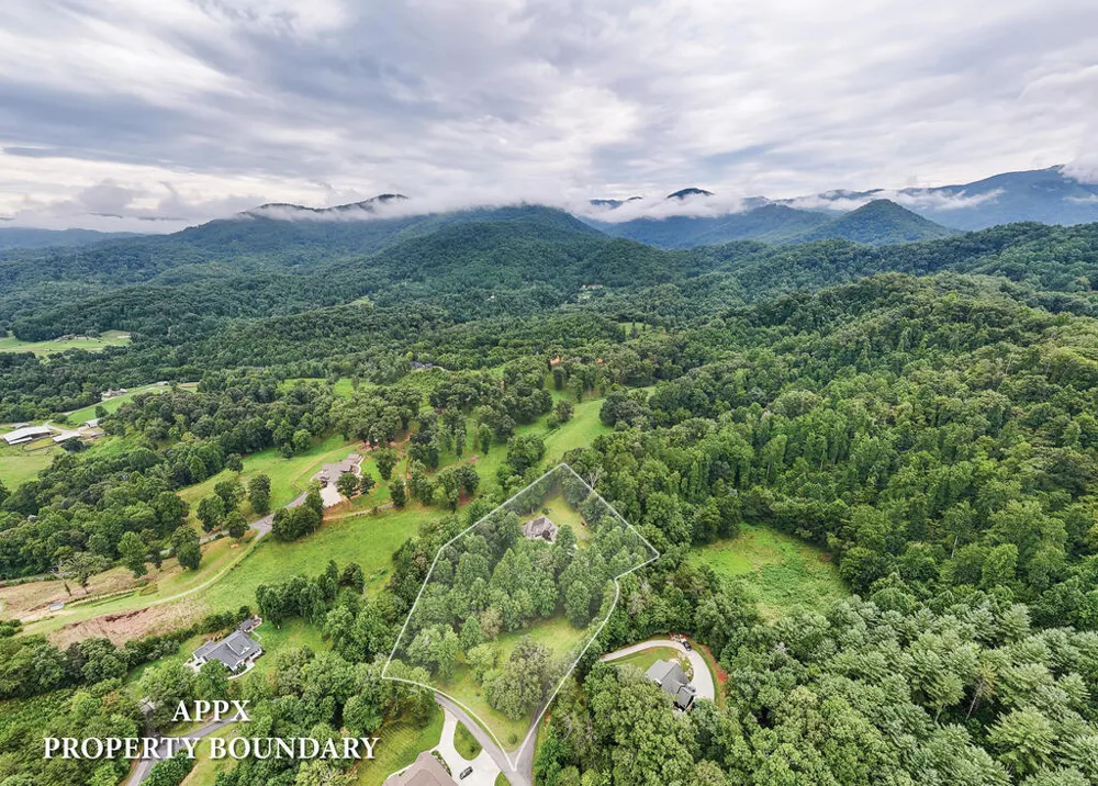 Swallowtail Ln Whittier, NC 28789