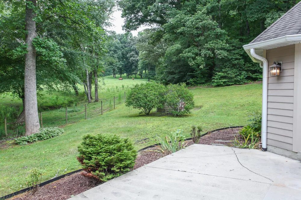 Swallowtail Ln Whittier, NC 28789