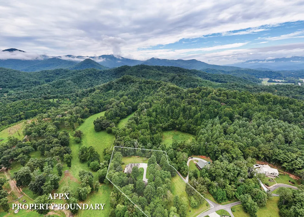 Swallowtail Ln Whittier, NC 28789