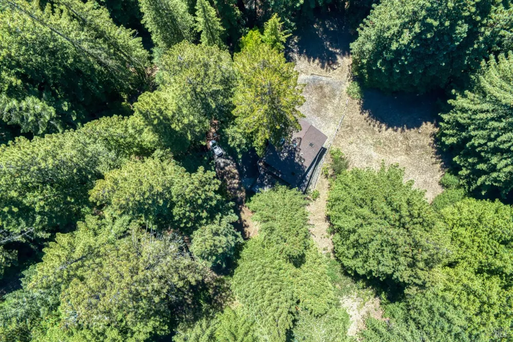 16500 Bittner Road Occidental, CA 95465