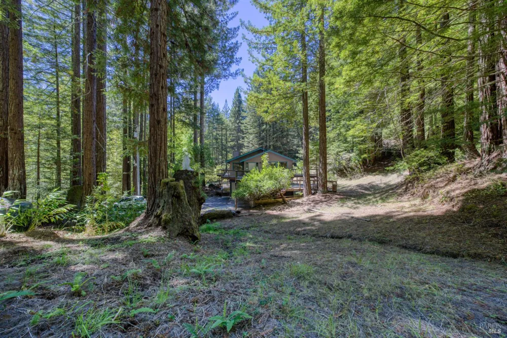 16500 Bittner Road Occidental, CA 95465