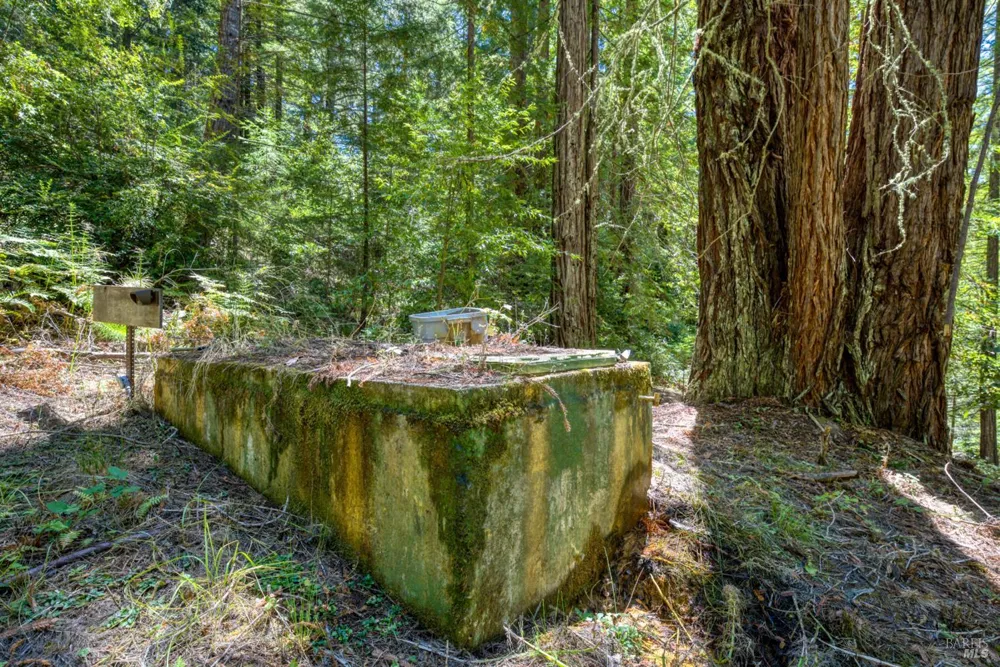 16500 Bittner Road Occidental, CA 95465