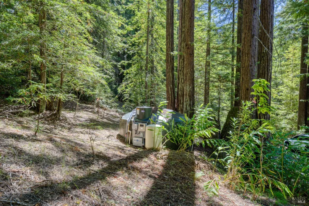 16500 Bittner Road Occidental, CA 95465