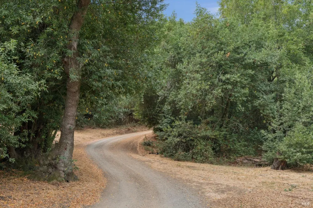 13 Oliva Drive ##F Novato, CA 94947
