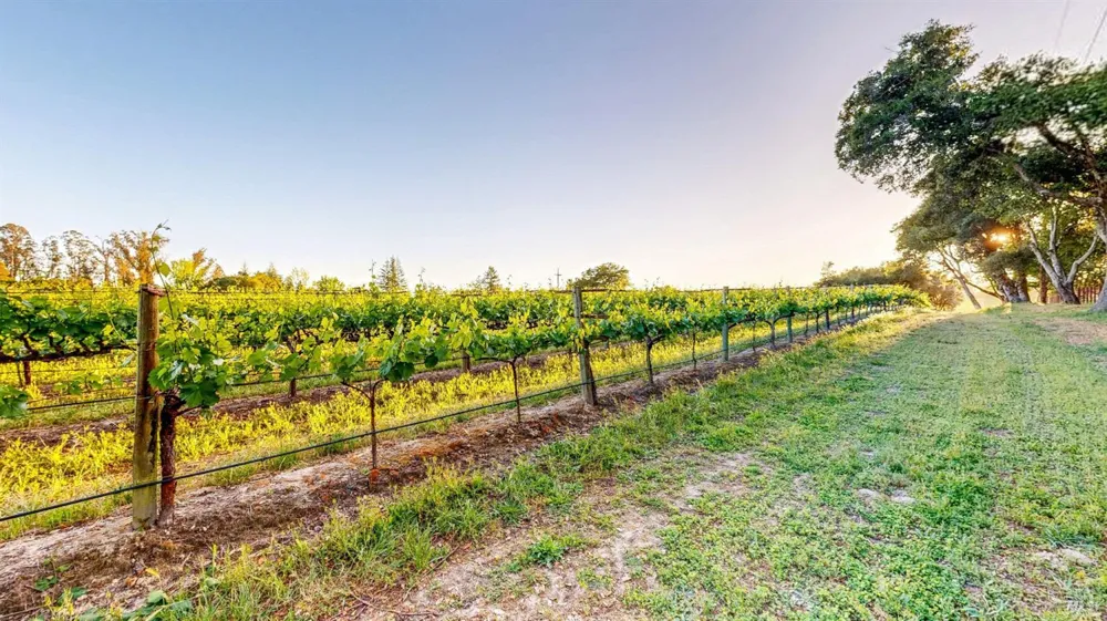 2142 Laguna Road Santa Rosa, CA 95401