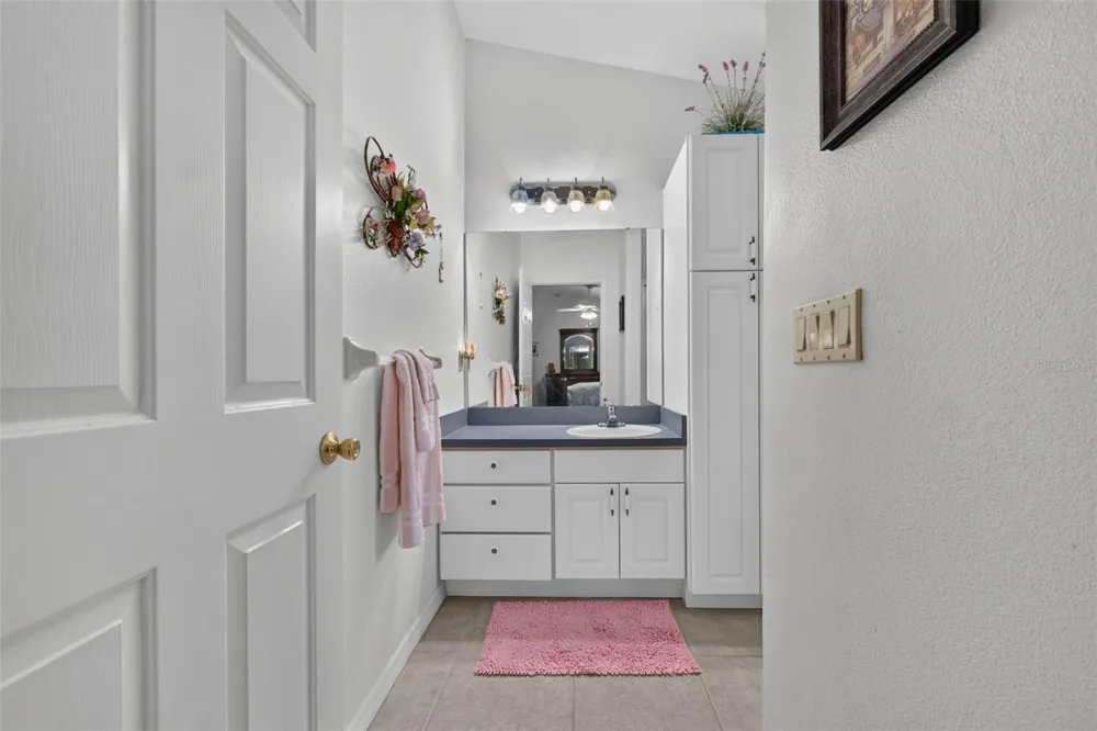 3503 DIAMOND TERRACE Mulberry, FL 33860