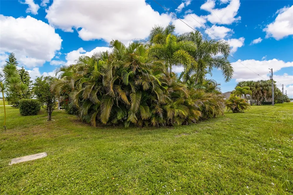16140 BADALONA DRIVE Punta Gorda, FL 33955