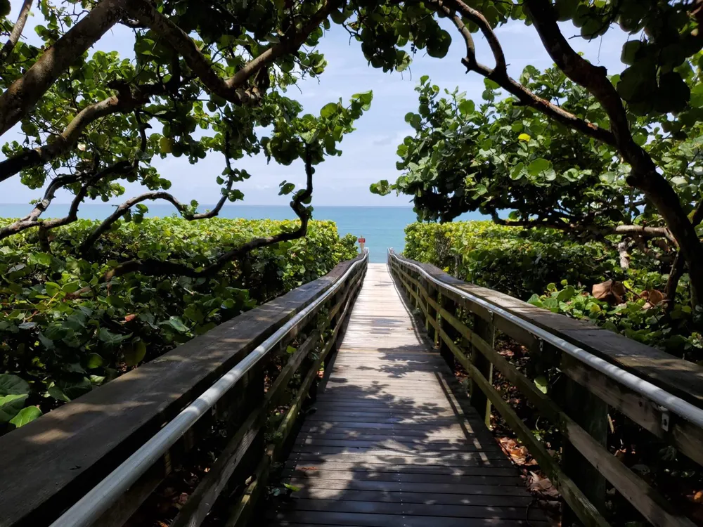 717 S US HIGHWAY 1 #206 Jupiter, FL 33477