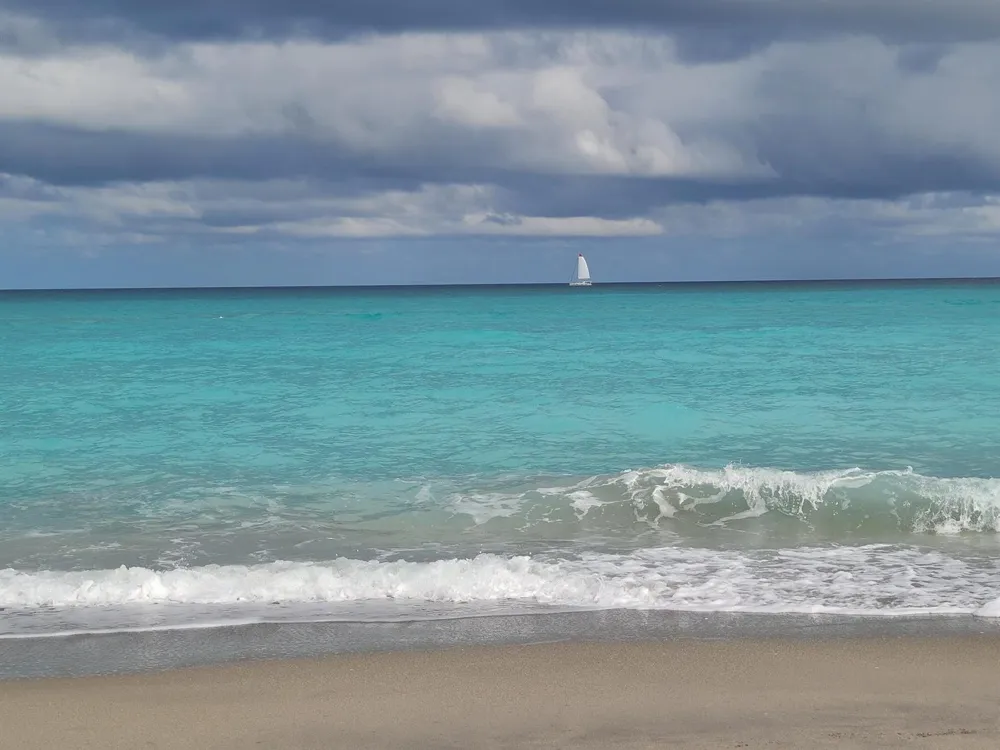 717 S US HIGHWAY 1 #206 Jupiter, FL 33477