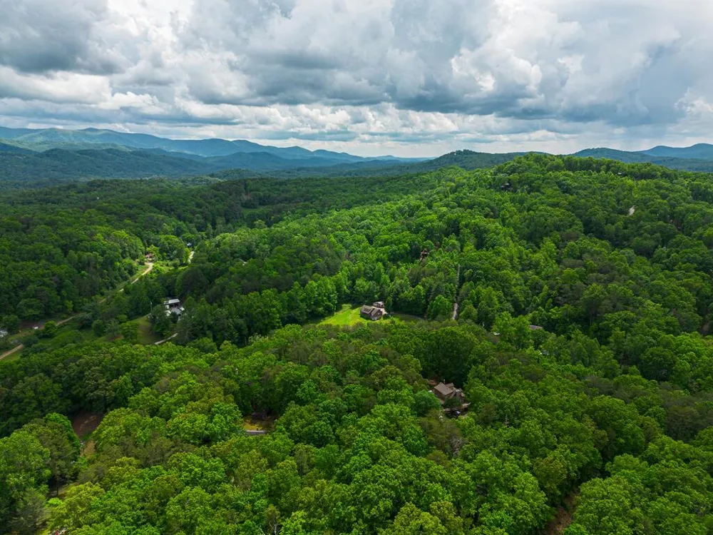 Tract 1 Century Lane Blue Ridge, GA 30513