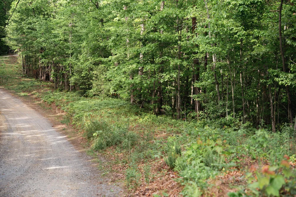 Tract 1 Century Lane Blue Ridge, GA 30513