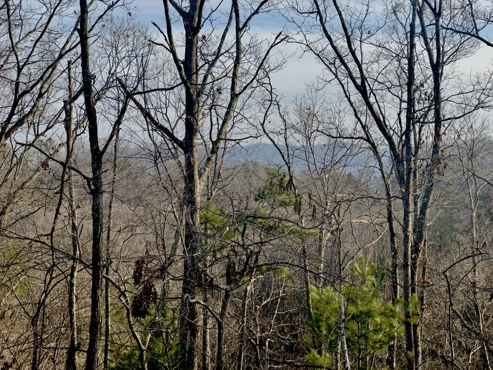 Tract 1 Century Lane Blue Ridge, GA 30513