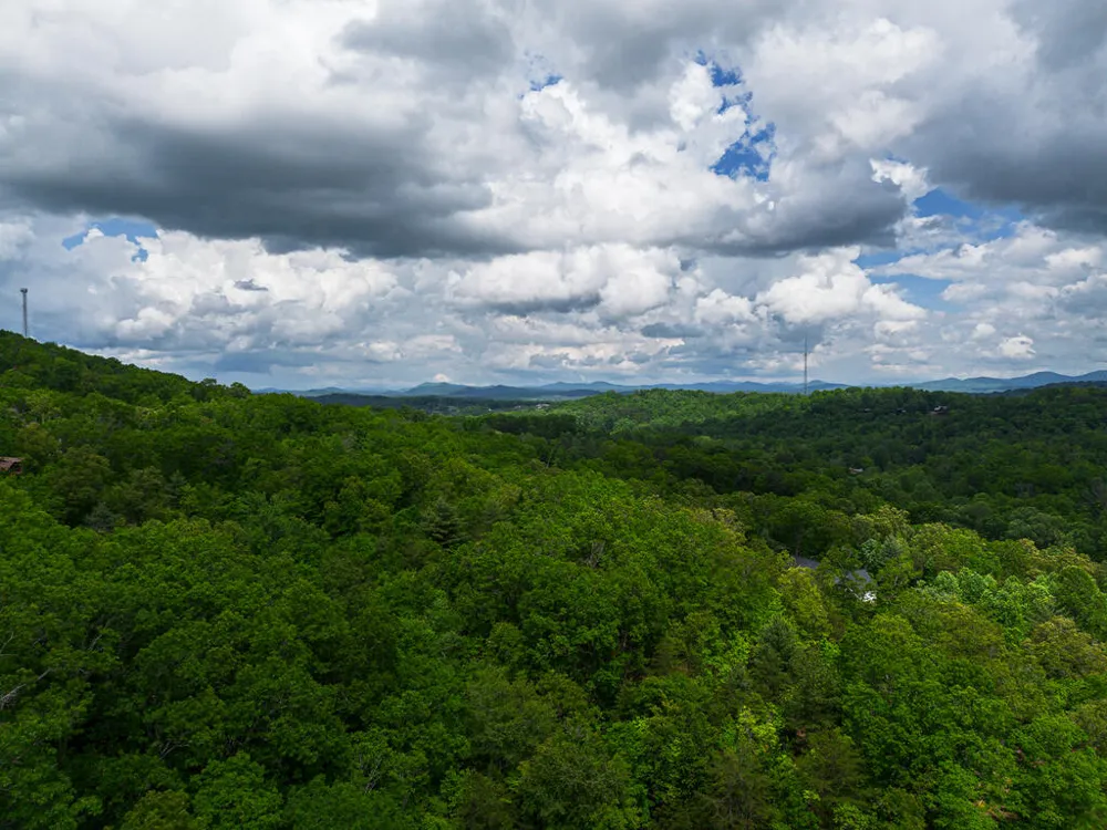 Tract 1 Century Lane Blue Ridge, GA 30513